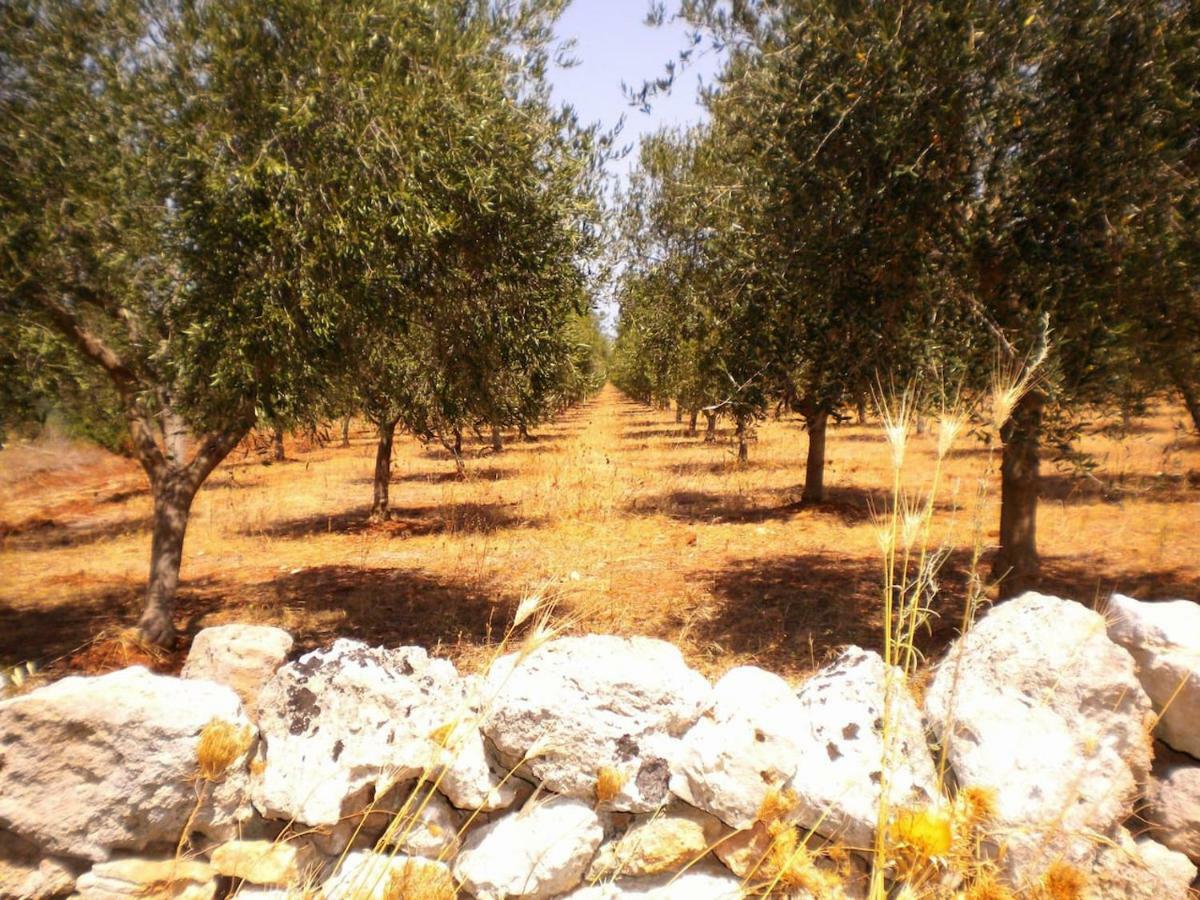 Trullo Rosy Villa Martina Franca Exterior photo