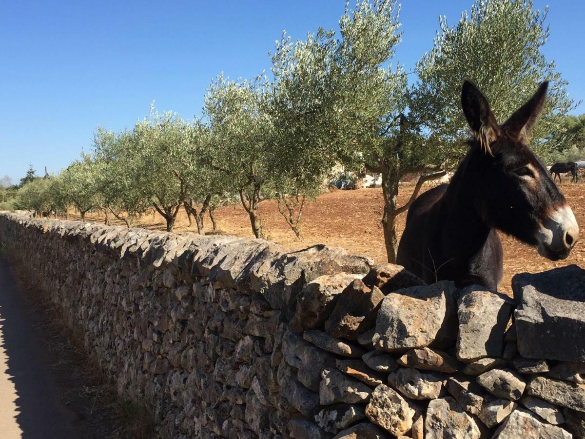 Trullo Rosy Villa Martina Franca Exterior photo